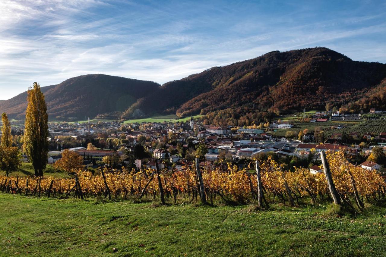 Dvorec Trebnik - Sobe Slovenske Konjice Zewnętrze zdjęcie