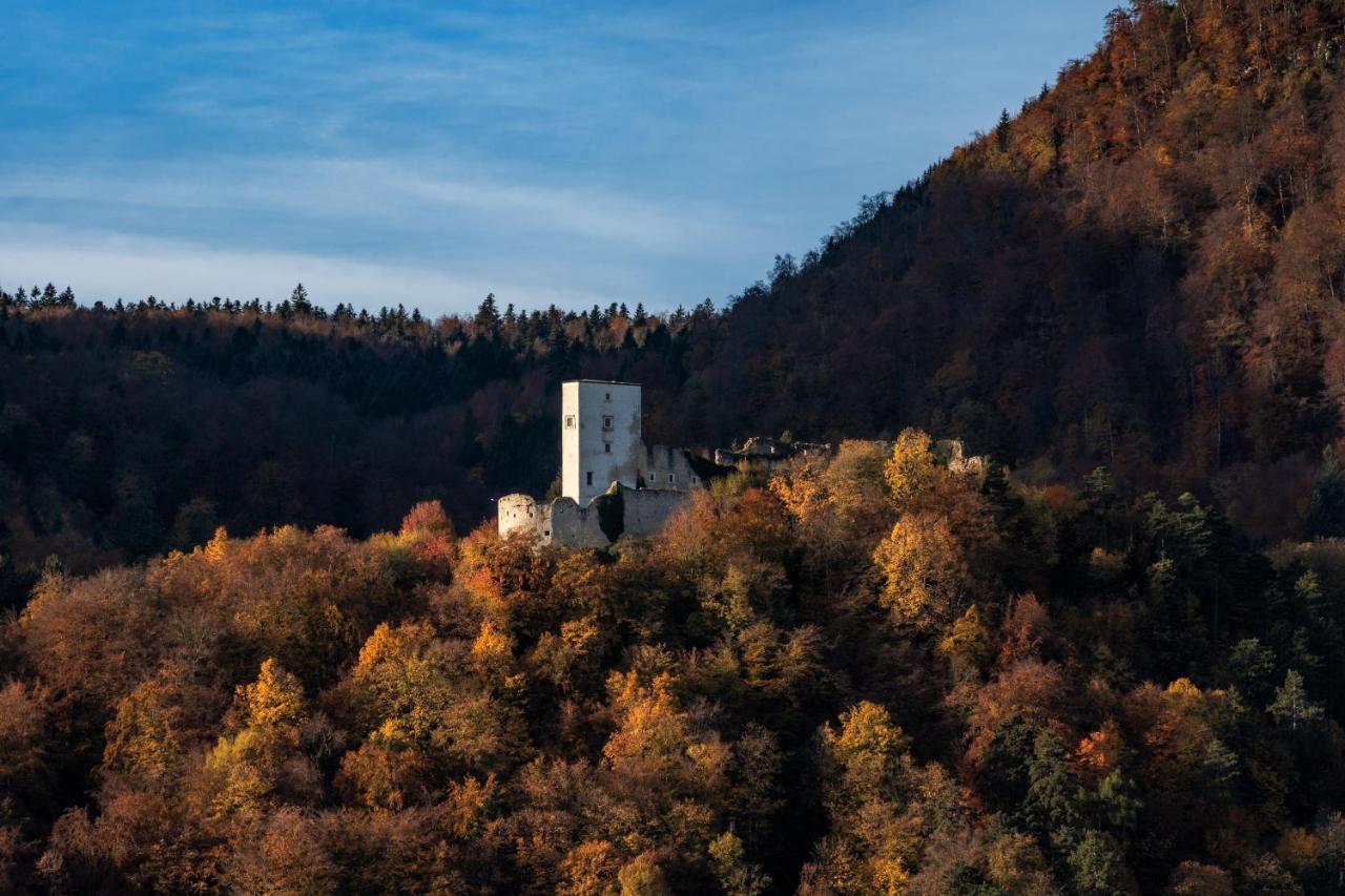 Dvorec Trebnik - Sobe Slovenske Konjice Zewnętrze zdjęcie
